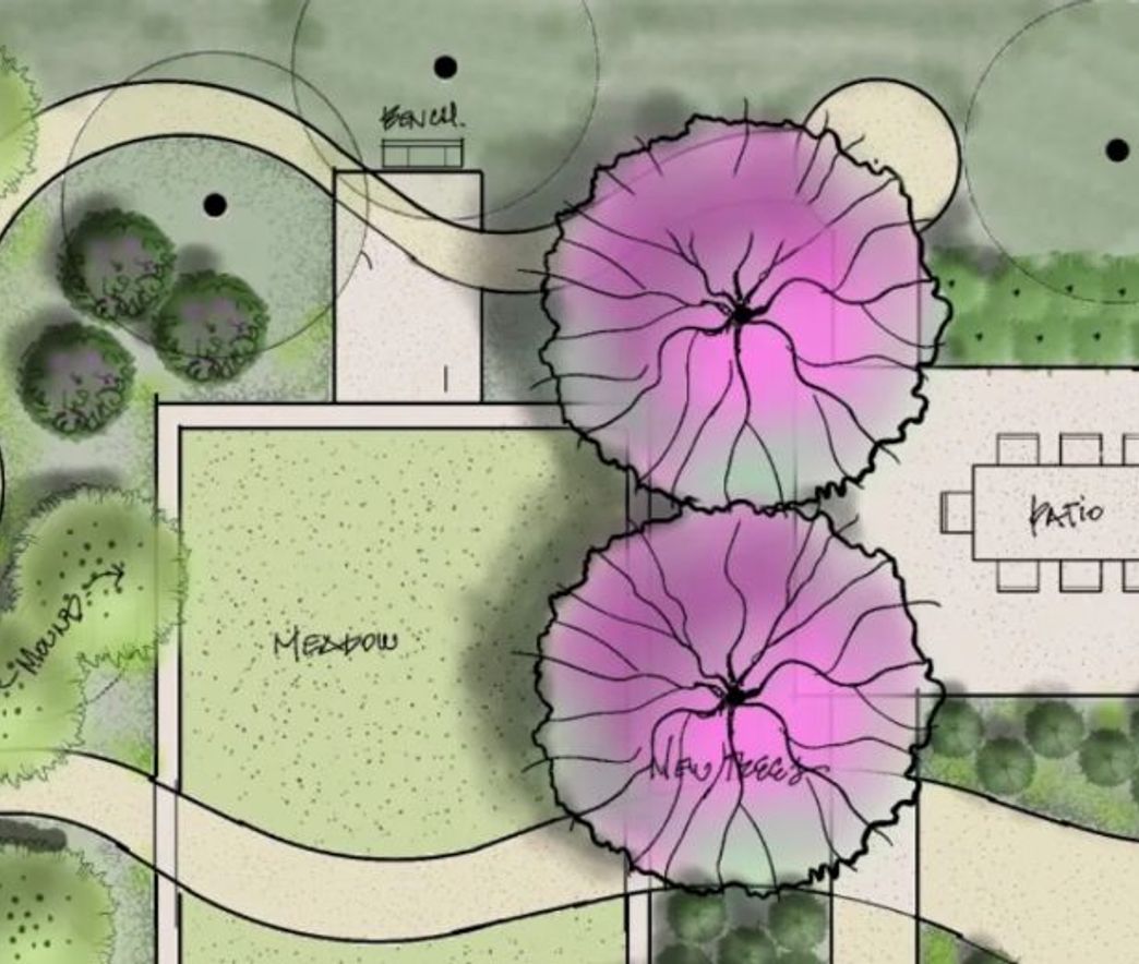 Landscape design and planning