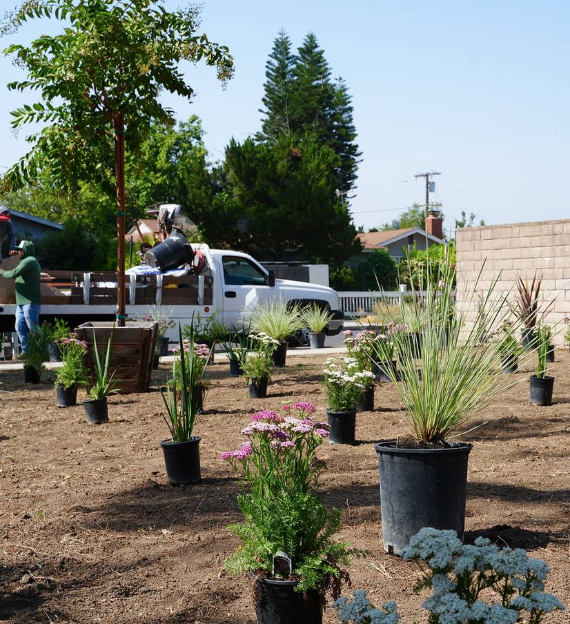 landscaping by barba