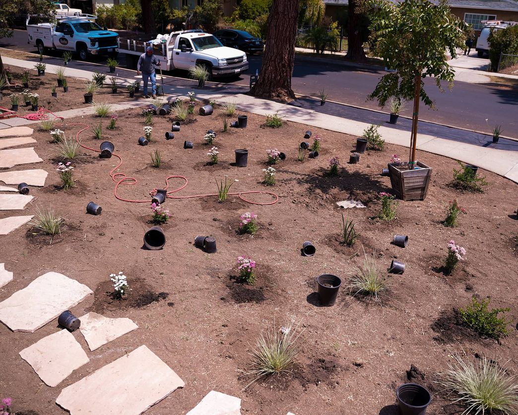 Commercial property landscaping