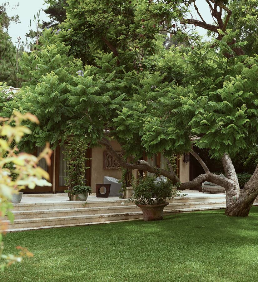 landscaping by barba