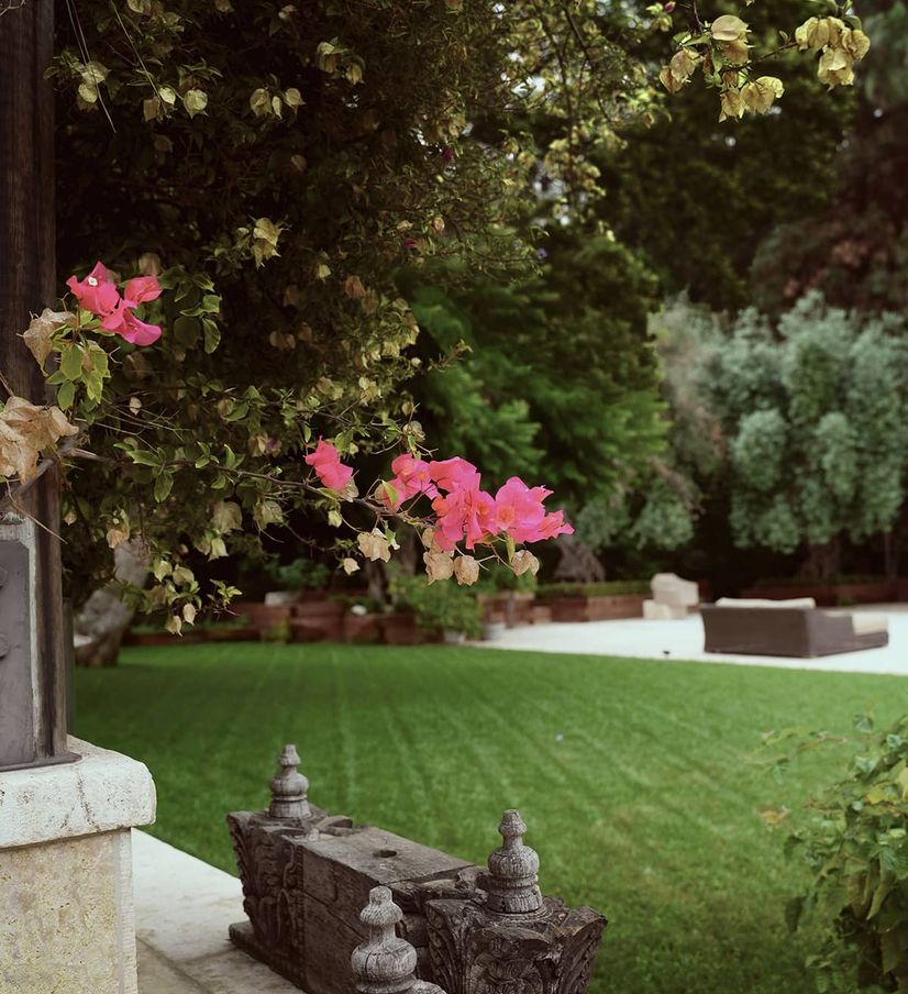 landscaping by barba