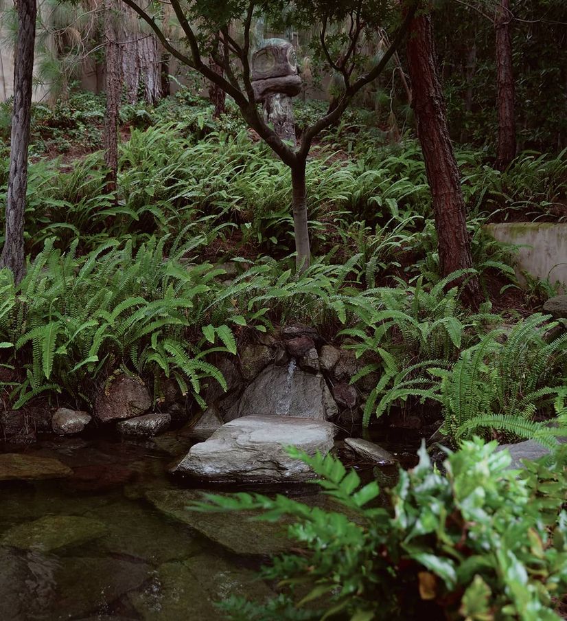 landscaping by barba